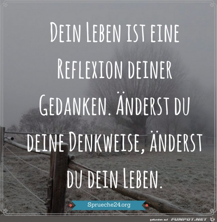 dein Leben ist eine Reflexon.......