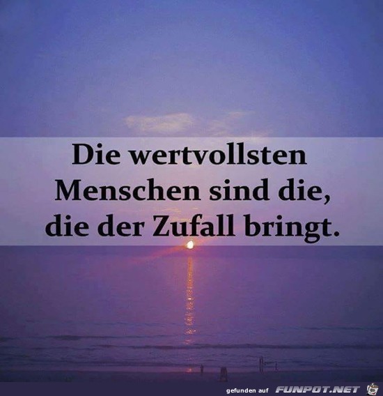 Der Zufall Der Zufall