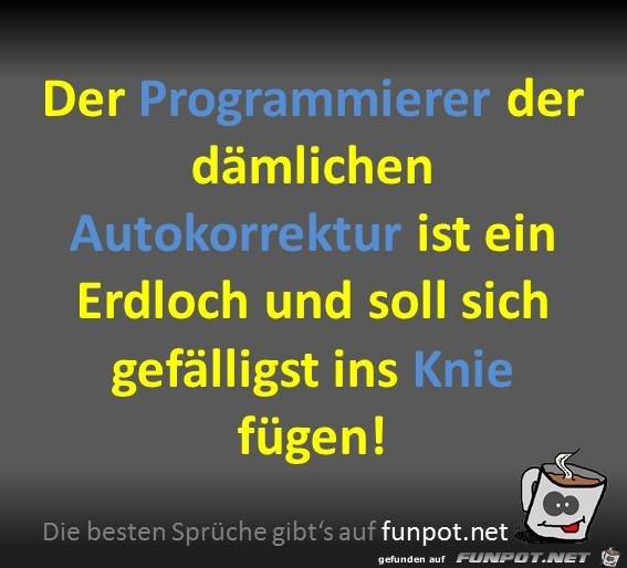 Der Programmierer