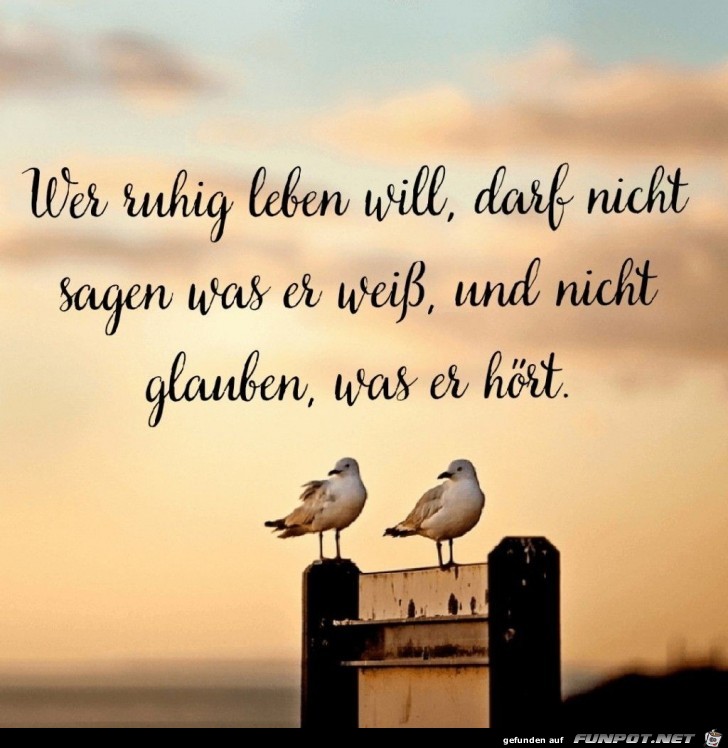 wer ruhig leben will wer ruhig leben will
