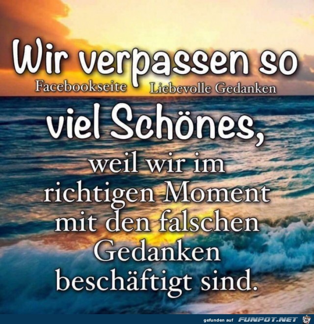 wir verpassen so viel schoenes