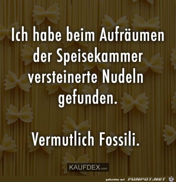 fossili fossili