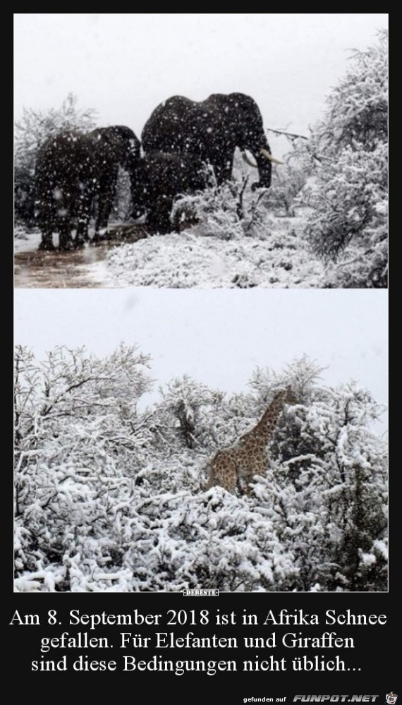 Schnee in Afrika am 8. September