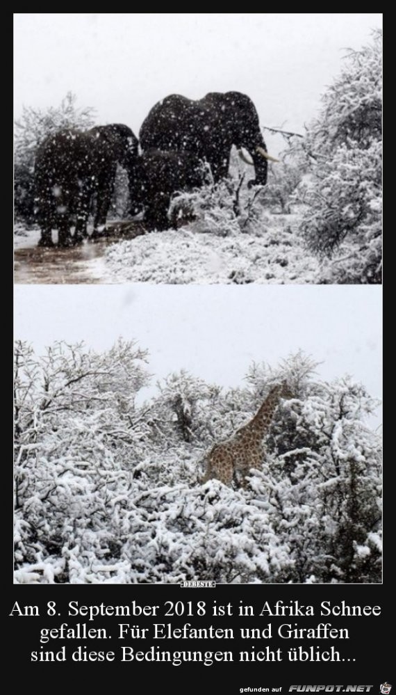 Schnee in Afrika am 8. September Schnee in Afrika am 8. September