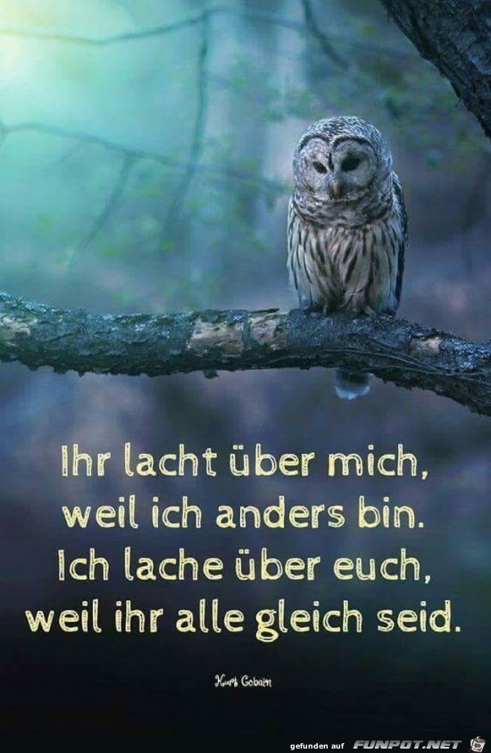 ihr lacht ber mich,.......