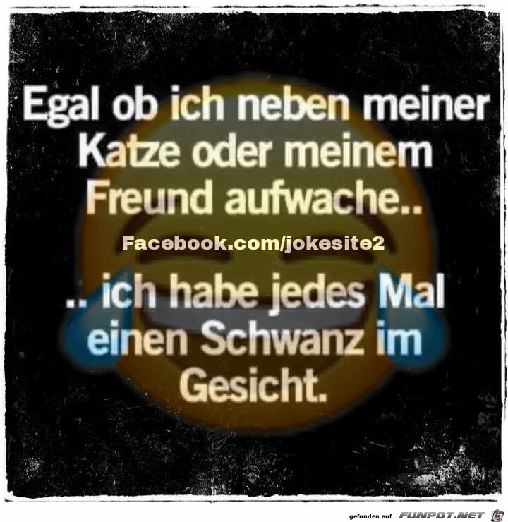 Aufwachen Aufwachen