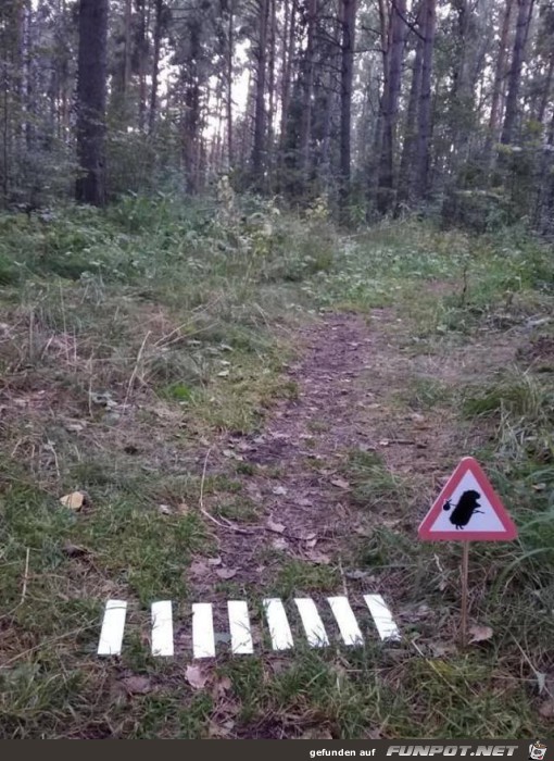 Wie süß Wie süß