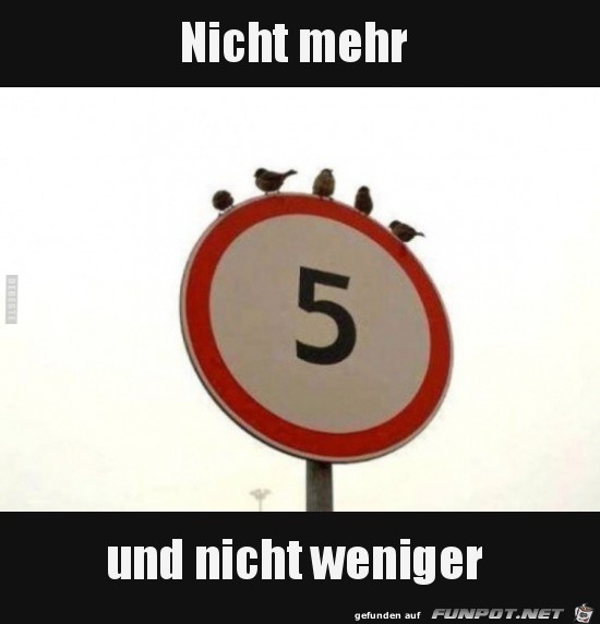 Passt Passt