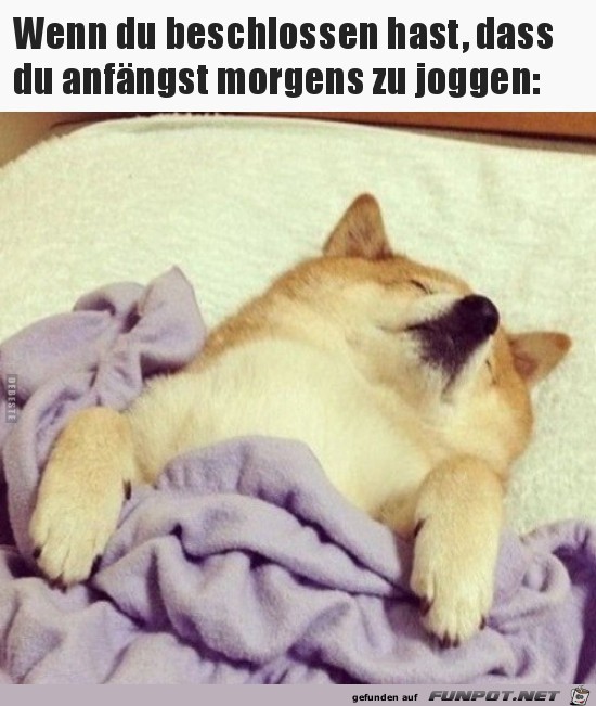 Tot stellen geht Tot stellen geht