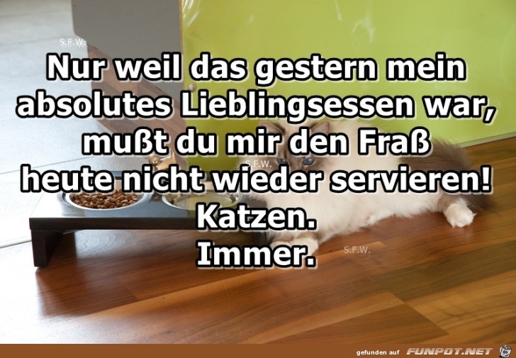 Nur weil das gestern Nur weil das gestern