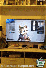 Katze schaut TV Katze schaut TV