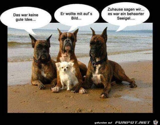das war keine gute Idee.... das war keine gute Idee....