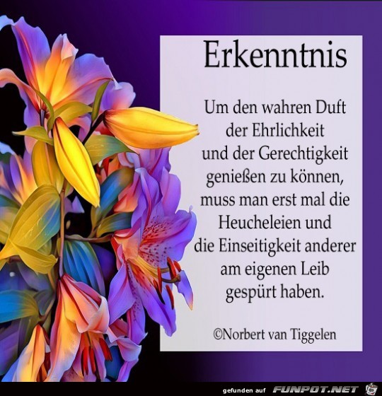 Erkenntnisreich 2018 Erkenntnisreich 2018