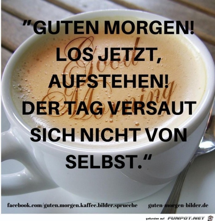 Aufstehen Aufstehen