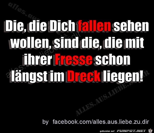 Fallen sehen wollen