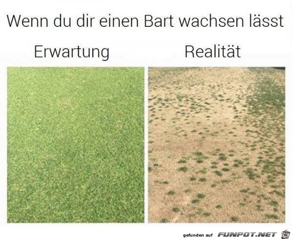 Der Bart Der Bart