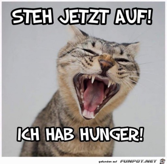 Steh sofort auf Steh sofort auf
