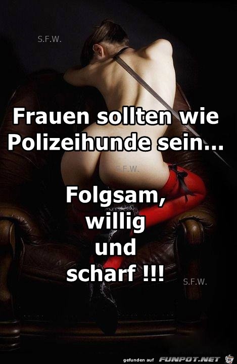 Frauen sollten wie Frauen sollten wie