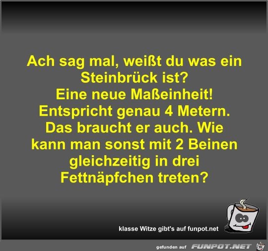 Ach sag mal, weißt du was ein Steinbrück ist? Ach sag mal, weißt du was ein Steinbrück ist?