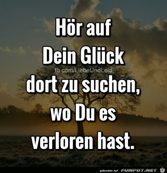 Sehr weiser Rat Sehr weiser Rat