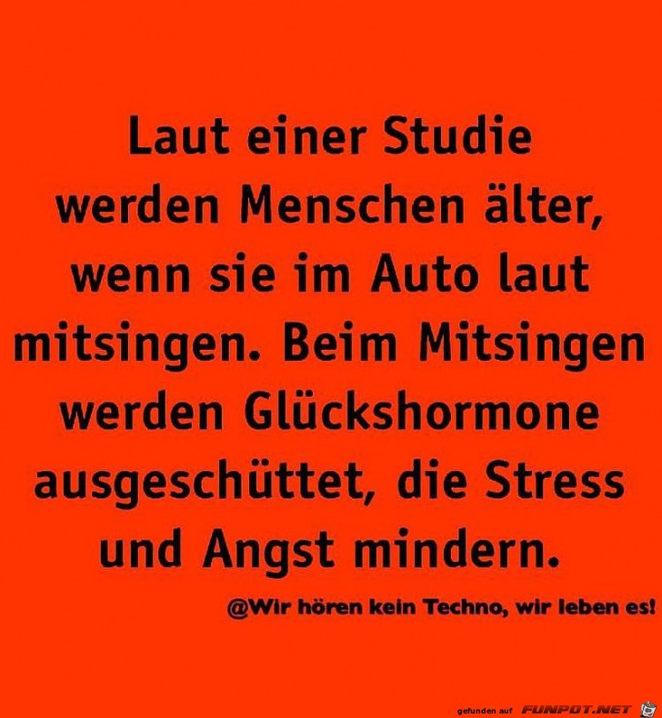 Studie Studie