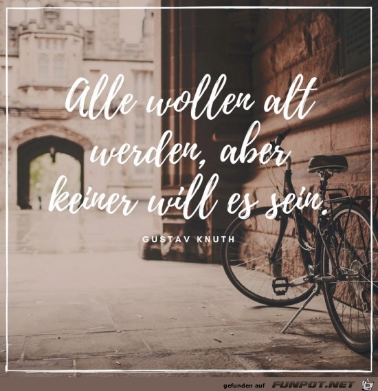 Alt werden Alt werden