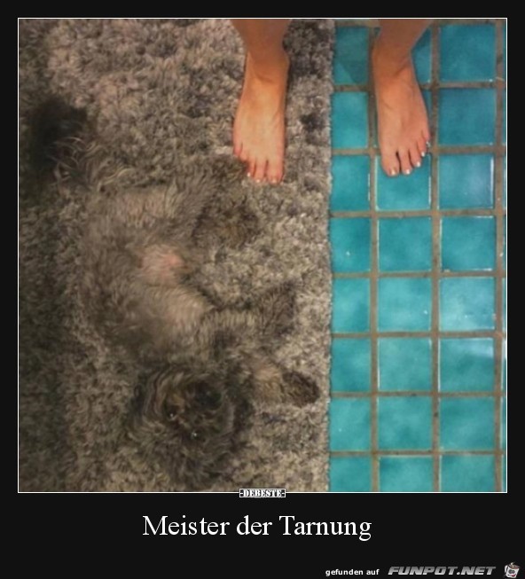 Super getarnt Super getarnt