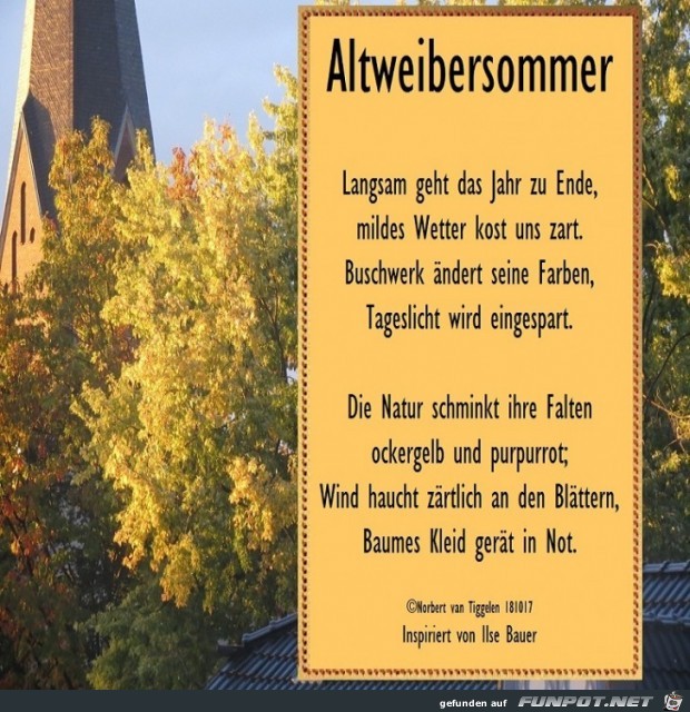 Altweibersommer 2018 Altweibersommer 2018