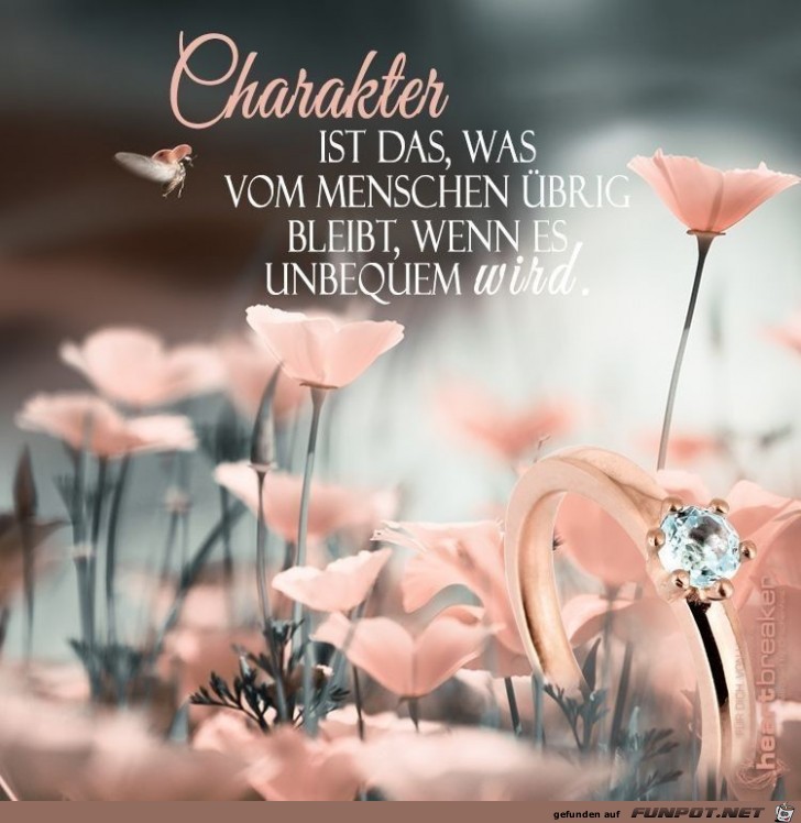 Charakter ist das Charakter ist das