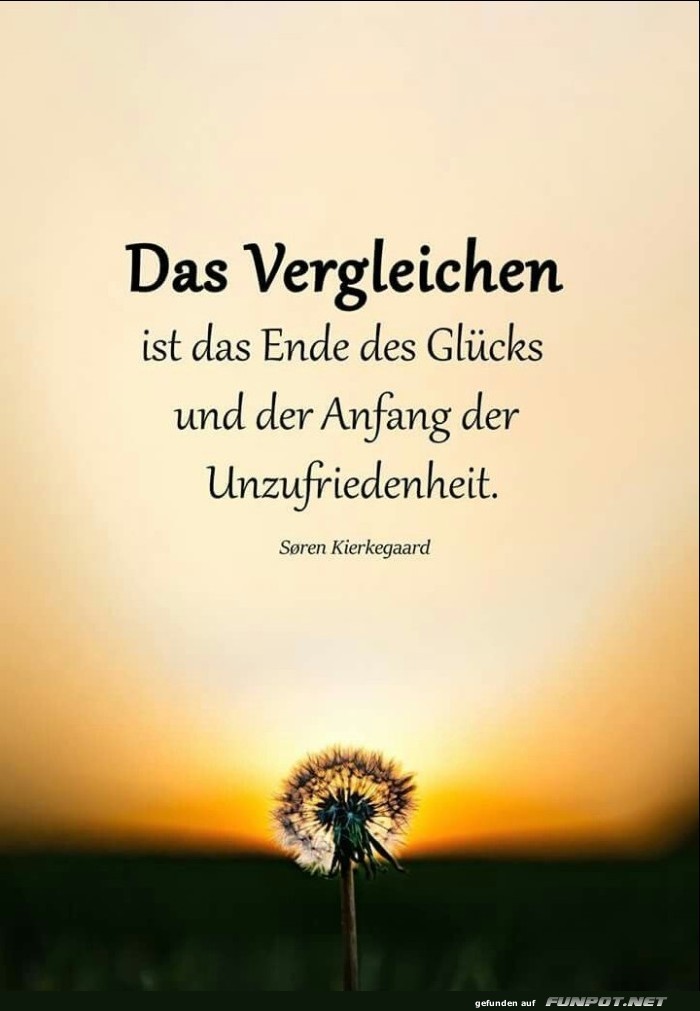10 schne Sprche und Lebensweisheiten aus...