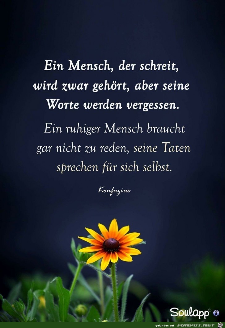 ein Mensch der schreit ein Mensch der schreit
