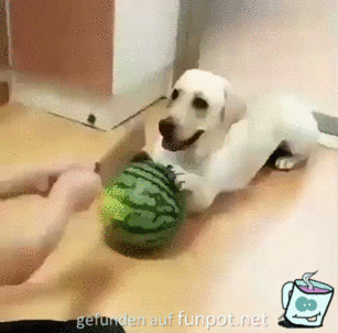 Jetzt wird es mir zu viel Jetzt wird es mir zu viel