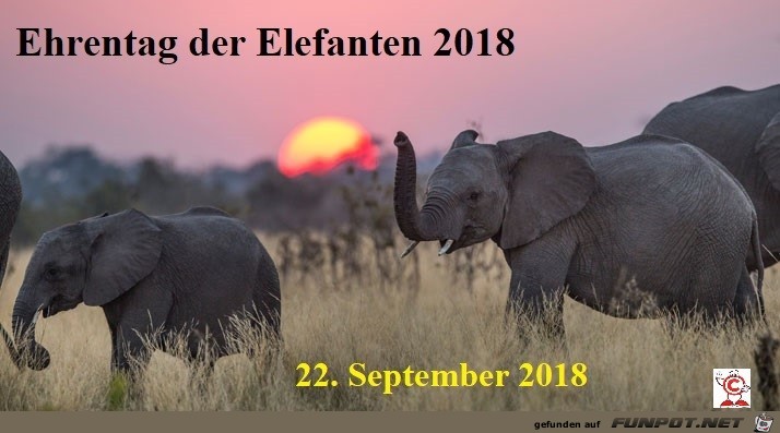 Elefanten-Ehrentag18