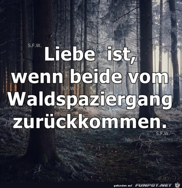 Liebe ist Liebe ist