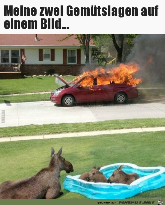 Kommt hin