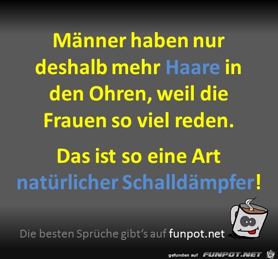 Schalldämpfer Schalldämpfer