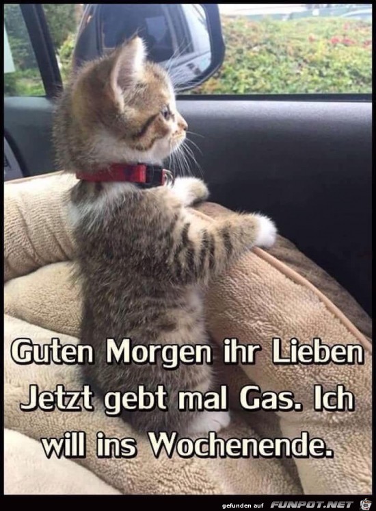 Guten Morgen jetzt gebt mal Gas.........