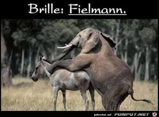 Brille Fielmnn