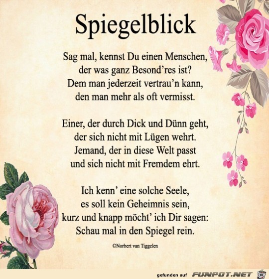 Spiegelblick 2018 Spiegelblick 2018