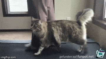 Wir laufen gemeinsam Wir laufen gemeinsam