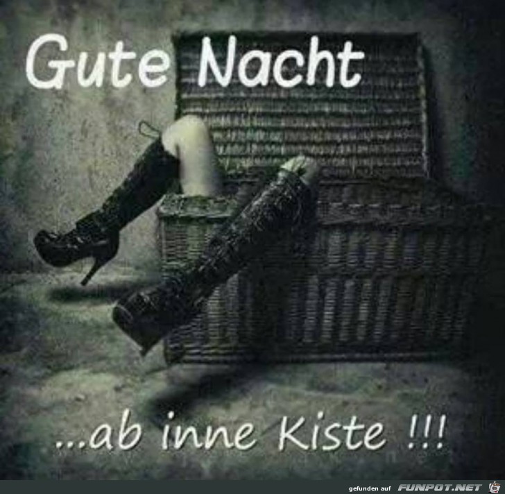 Gute Nacht Gute Nacht