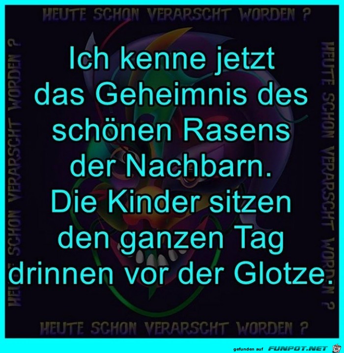 Schner Rasen