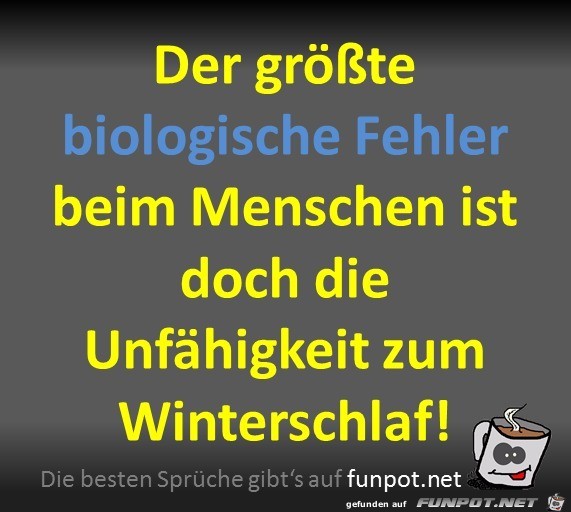 Winterschlaf Winterschlaf