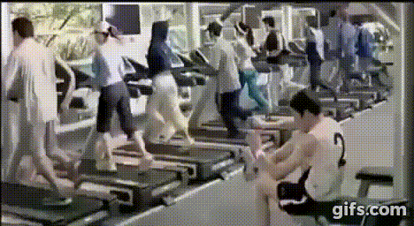 zum umfallen zum umfallen