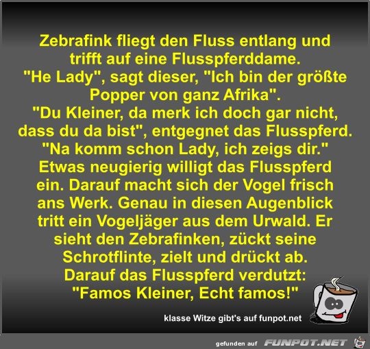 Zebrafink fliegt den Fluss entlang und trifft auf eine... Zebrafink fliegt den Fluss entlang und trifft auf eine...