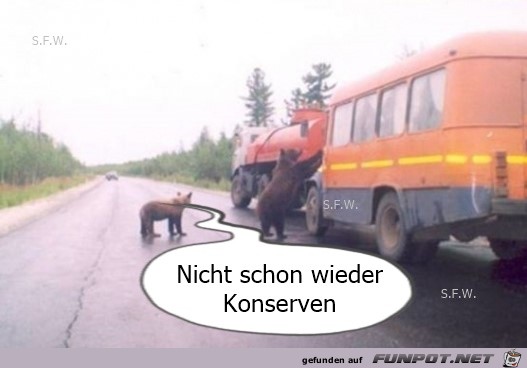 Nicht schon wieder Nicht schon wieder