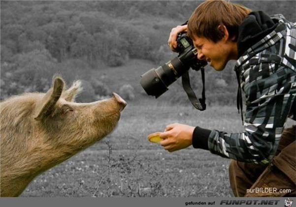tiere70 tiere70