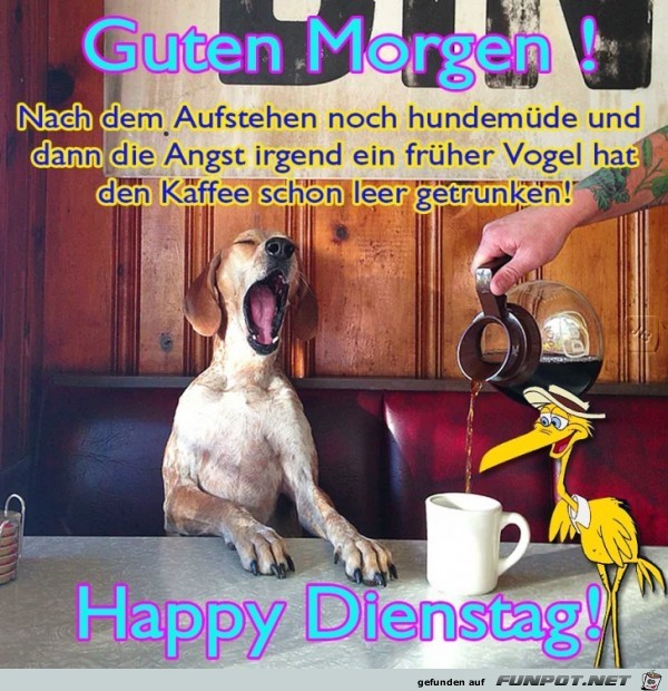 Dienstag Dienstag