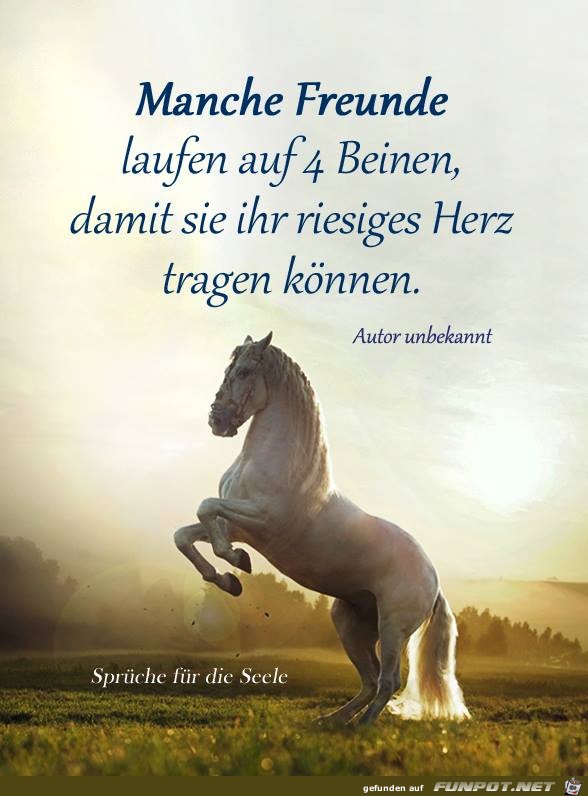 Manche Freunde Manche Freunde