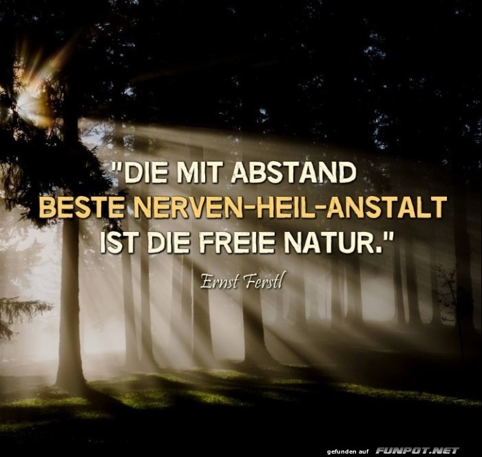 10 schne Sprche und Lebensweisheiten aus...